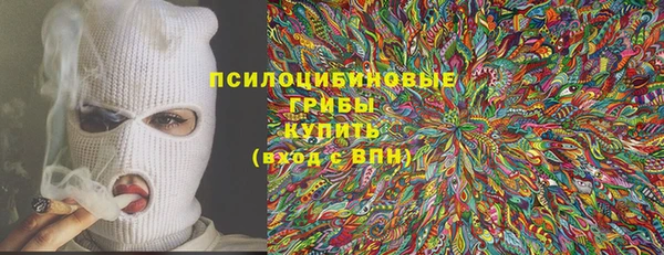 стаф Горнозаводск